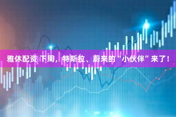 雅休配资 下周，特斯拉、蔚来的“小伙伴”来了！
