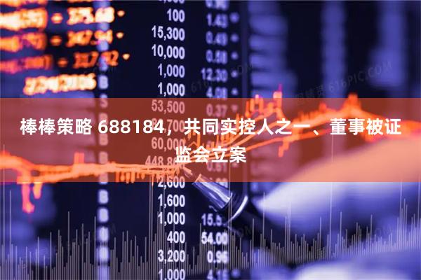 棒棒策略 688184，共同实控人之一、董事被证监会立案