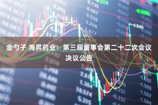 金勺子 海昇药业：第三届董事会第二十二次会议决议公告