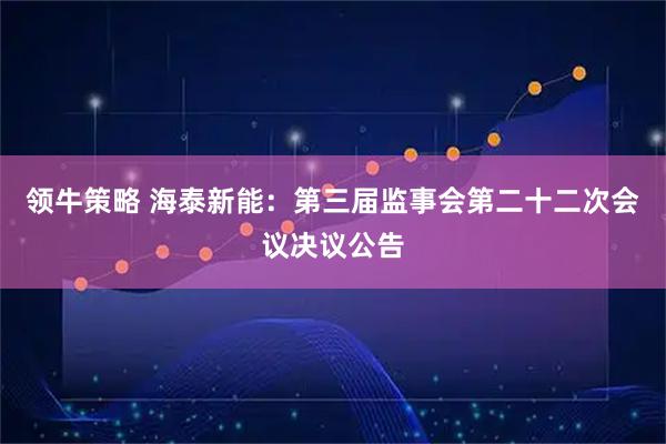 领牛策略 海泰新能：第三届监事会第二十二次会议决议公告