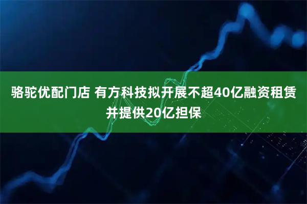 骆驼优配门店 有方科技拟开展不超40亿融资租赁并提供20亿担保