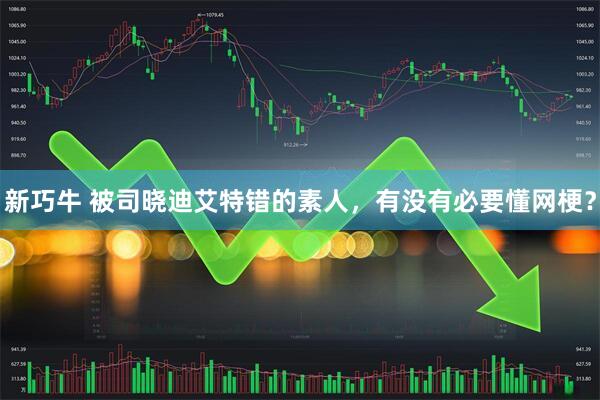 新巧牛 被司晓迪艾特错的素人，有没有必要懂网梗？