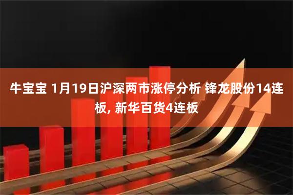 牛宝宝 1月19日沪深两市涨停分析 锋龙股份14连板, 新华百货4连板