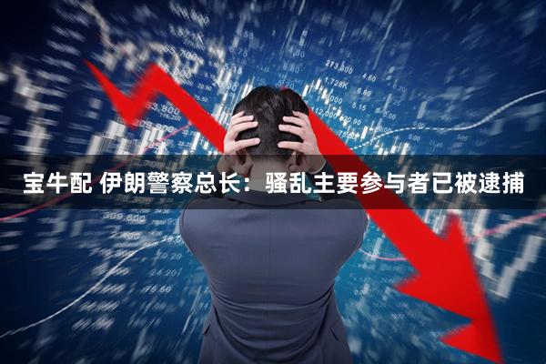 宝牛配 伊朗警察总长：骚乱主要参与者已被逮捕