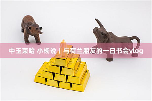 中玉束哈 小杨说丨与荷兰朋友的一日书会vlog